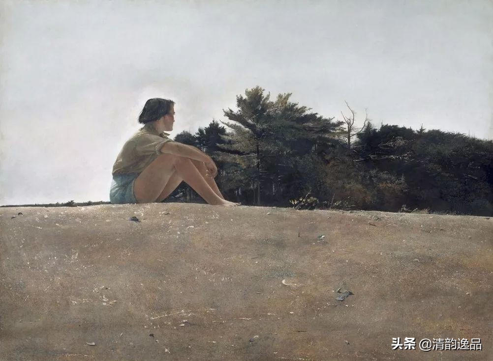 类似安德鲁怀斯的画家,安德鲁怀斯画家视频