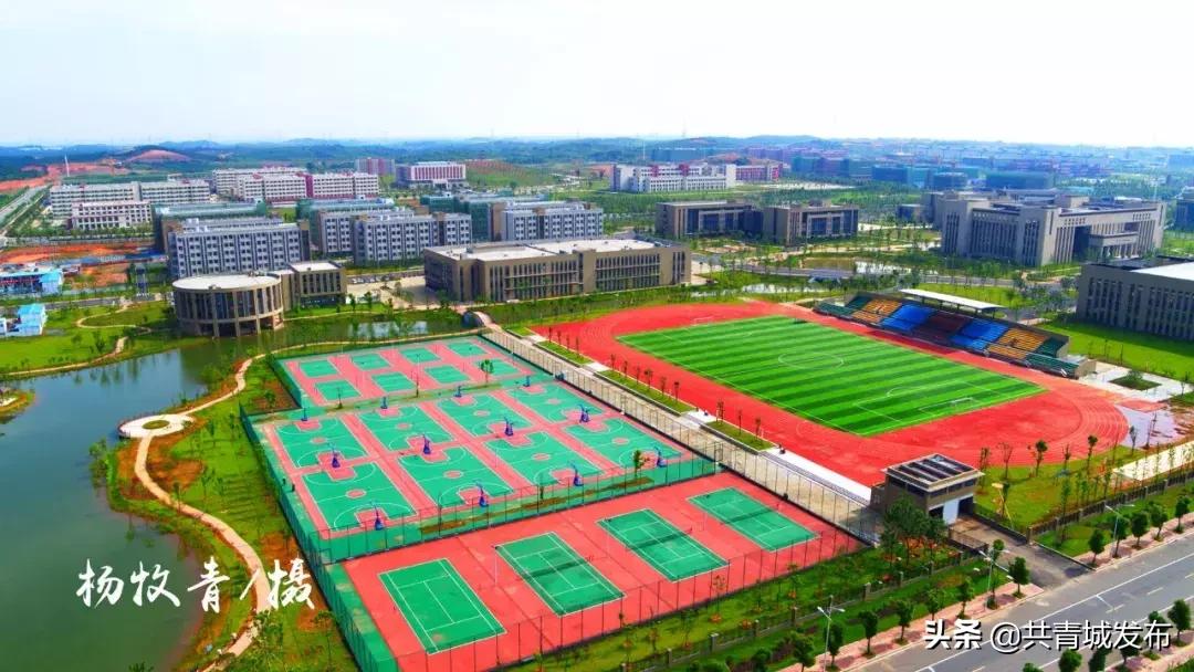 从a到z的成长,从a到z爱上茶的理由