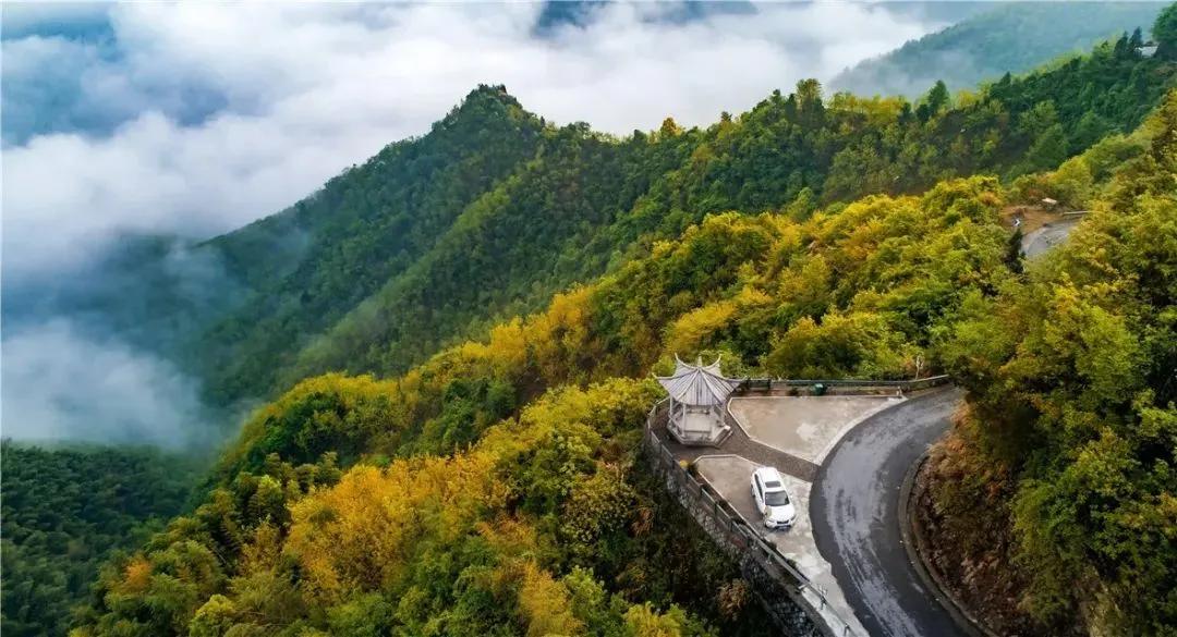 看！这是临安“雪山大米”的故事