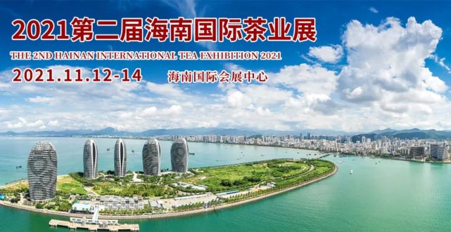 海南丨最南端的中国茶区，有着最普遍的市井茶意