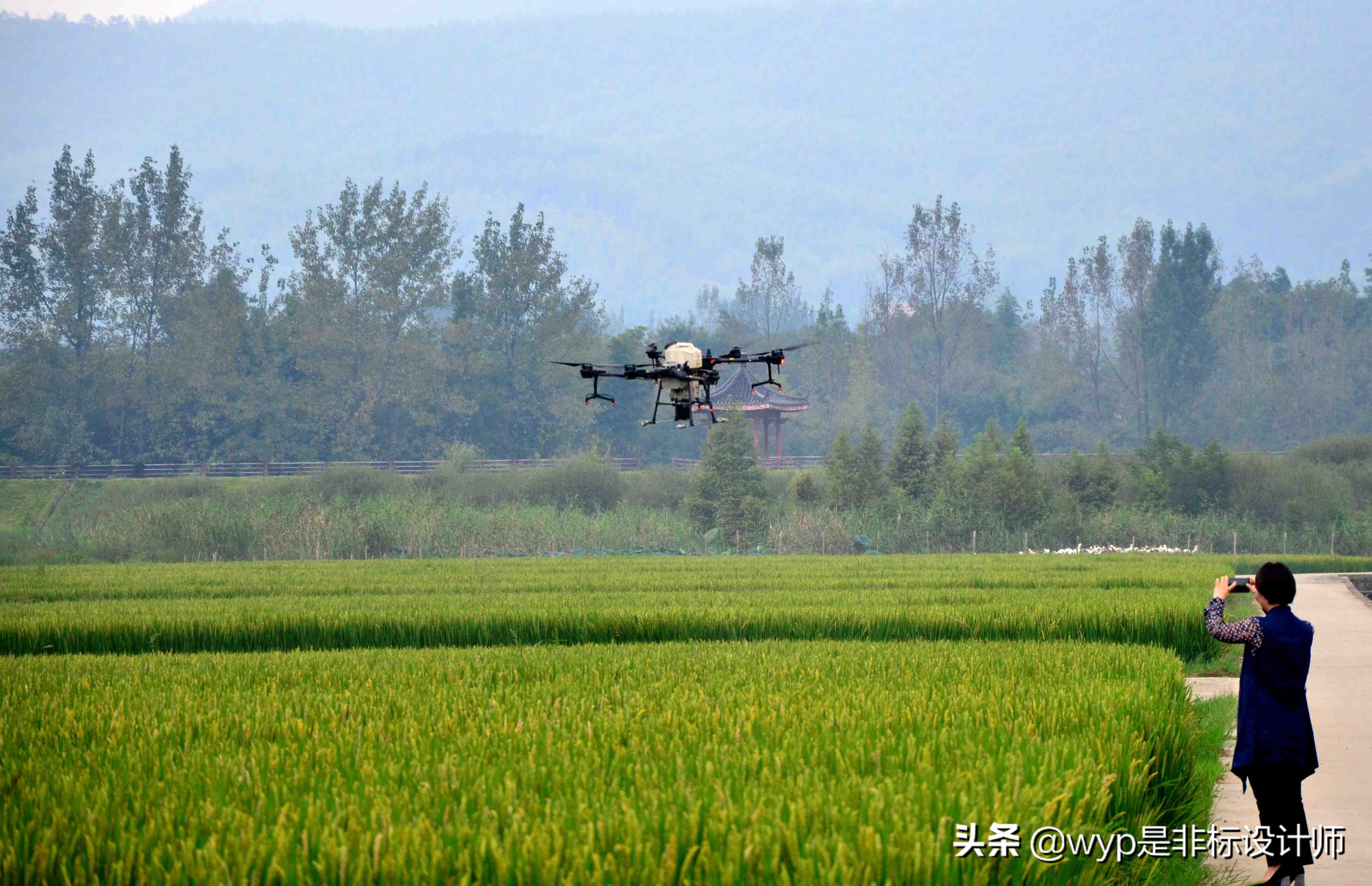 新型职业农民致富有高招,农村产业链致富新思路