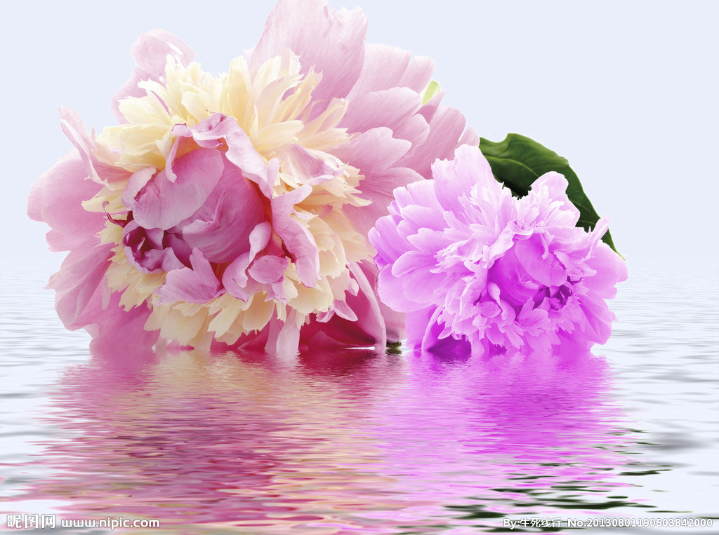 新安分会诗人唱响《祖国颂》(第二辑)|「洛阳诗词研究会」