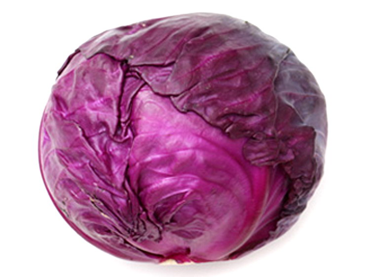 叶菜品类表,叶菜类一览表