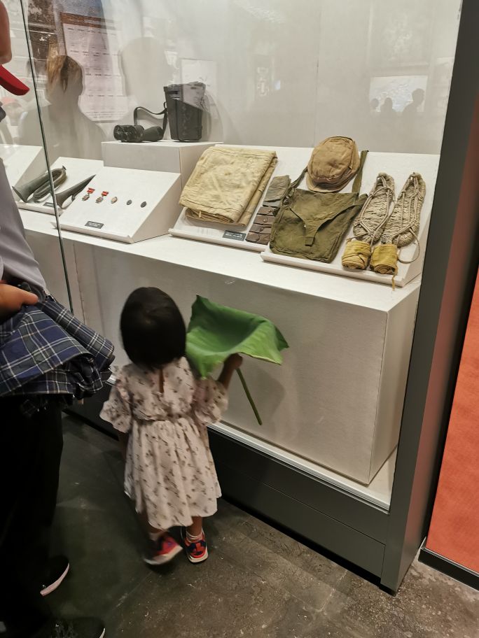 新浜荷之旅旅游攻略,沙家浜风景区旅游攻略