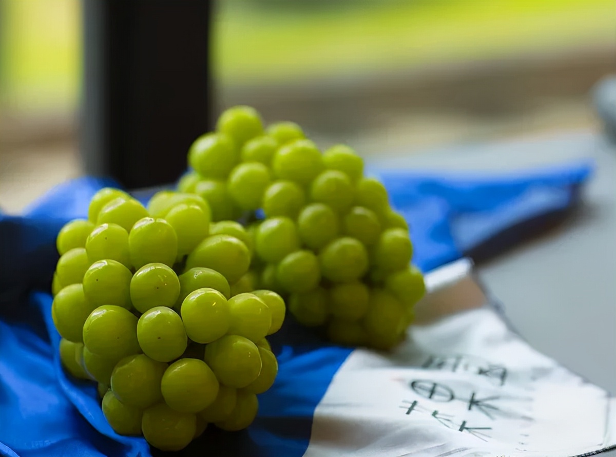 阳光玫瑰葡萄多少年的好,阳光玫瑰葡萄怎么样才是最好的