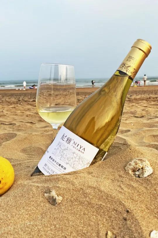 vlog葡萄酒,高级感红酒vlog