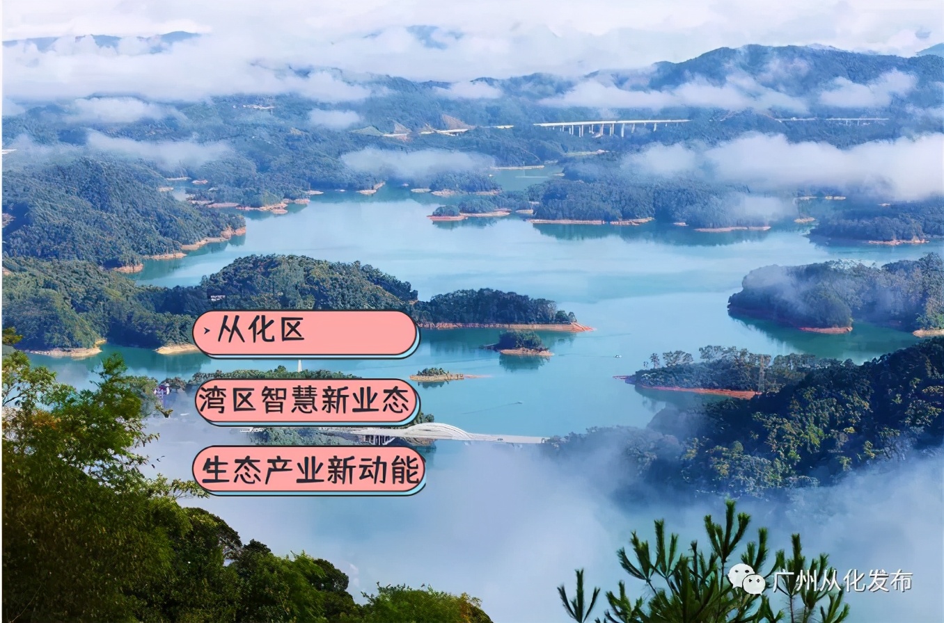 来广州才有的奶茶,来广州的人多吗