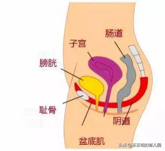 跳广场舞会引起子宫脱垂吗,跳广场舞子宫掉落原因