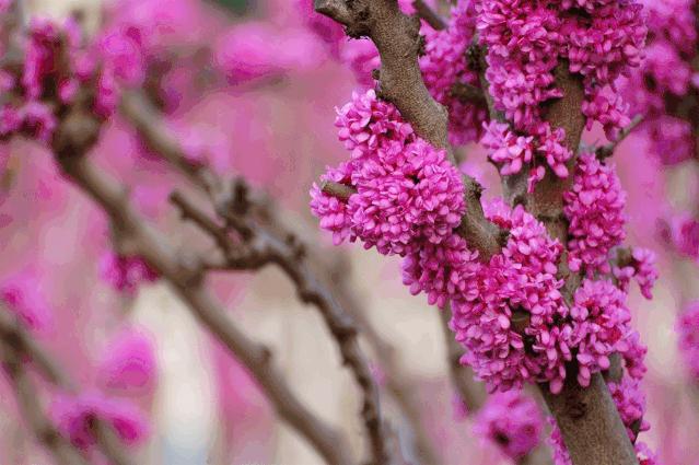 西安亲子农场庄园,西安亲子庄园