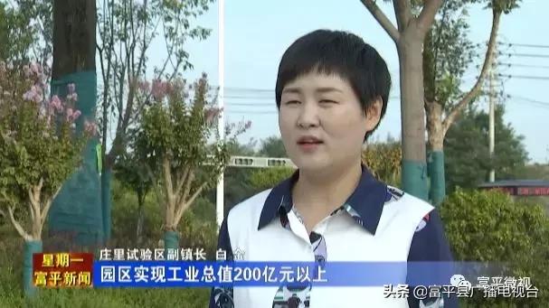 「壮丽70年奋斗新富平」(五)工业转型新跨越