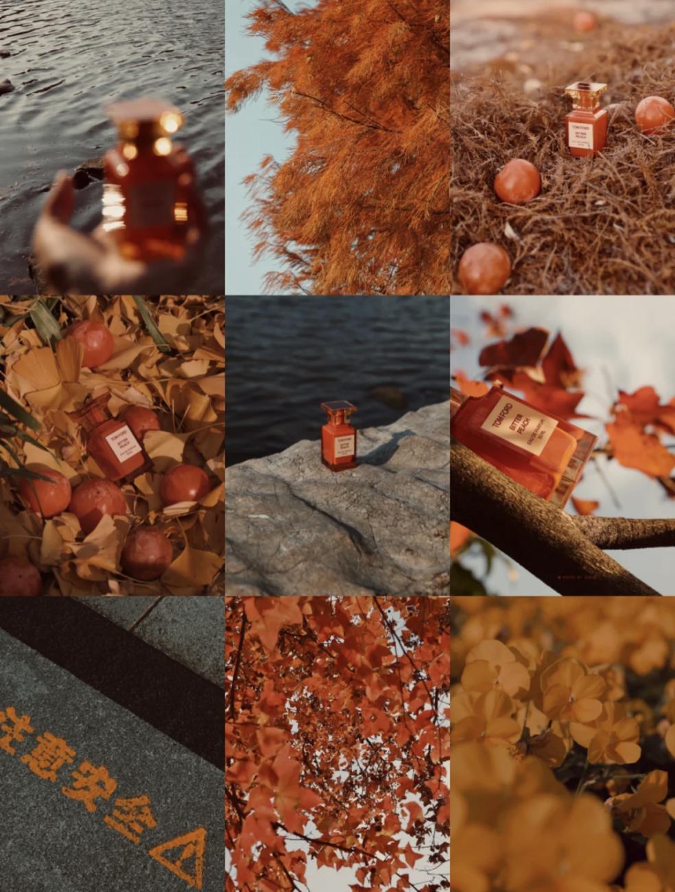 展开说说19瓶自用香水，拔草还是种草你说了算