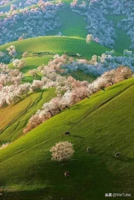 一生必去的中国50个最美地方风景,全球公认最美的十个地方旅游必读