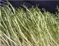 入围企业|安徽牧润农业科技有限公司