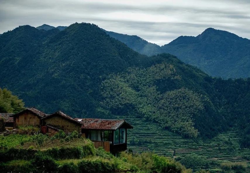 菜吧生意好做吗,菜吧民宿是真的吗