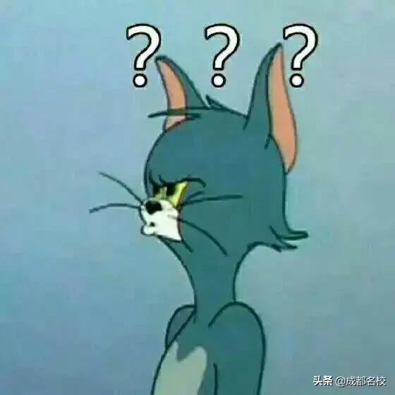 成都高新区学区房小户型二手房,成都高新区小学学区房一览表