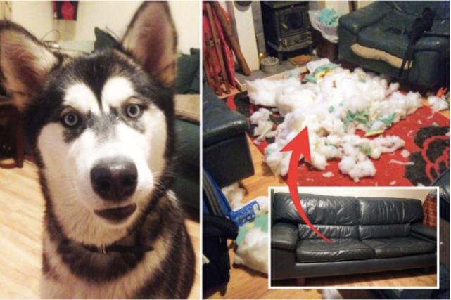 英国男子花800万买下废弃城堡翻新,英国男子花光积蓄买地挖宝