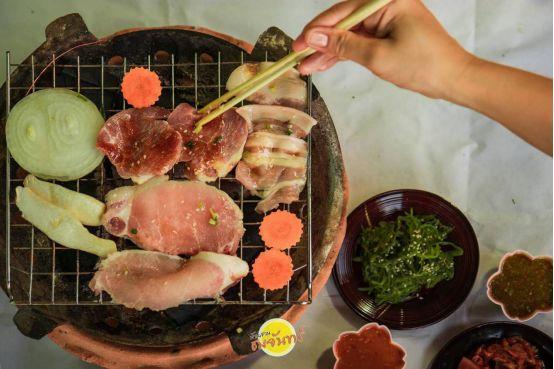 清迈大象义工,清迈大象救助营