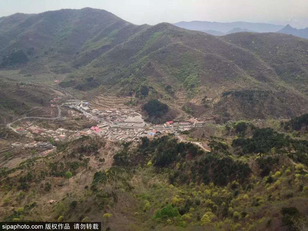 春暖花开,北京周边适合登高的地方,花开正美!还有专线能直达一个5*级A**长城景区!