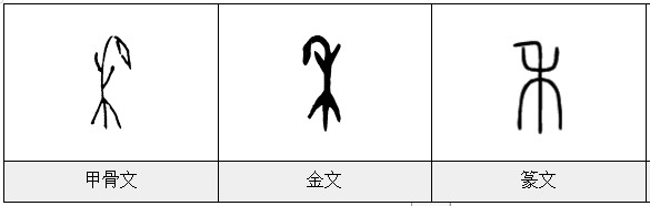 禾的汉字字体演变,与草木植物有关的字