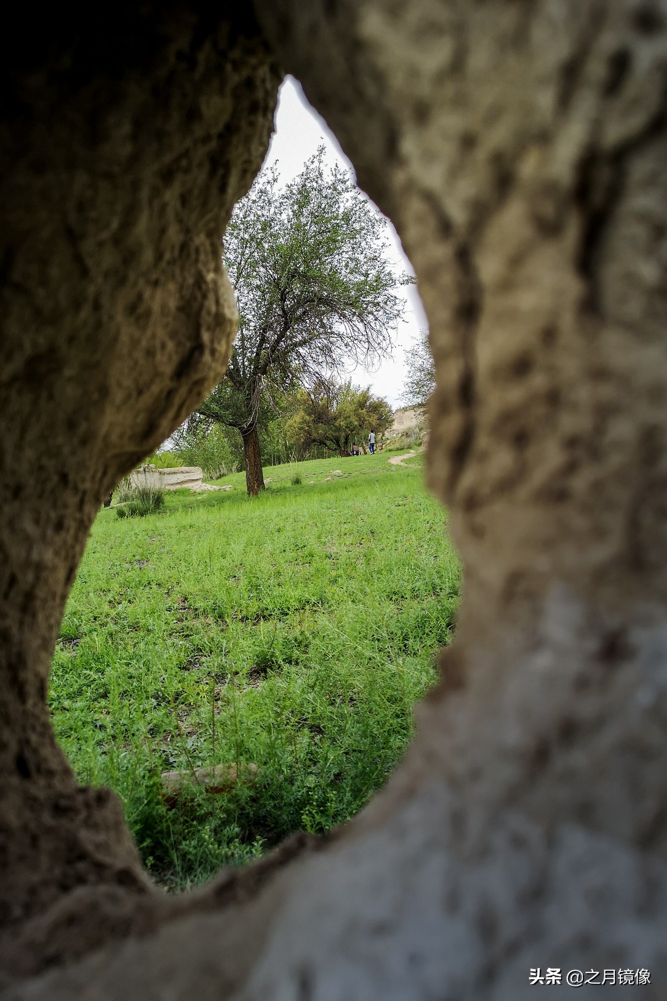 闈栬竟澶ф紶,闈栬竟澶ф紶椋庡厜