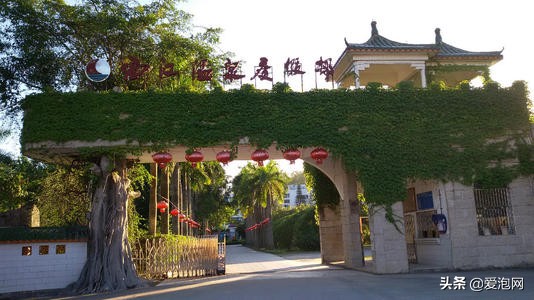 西江温泉图片,西江温泉景区