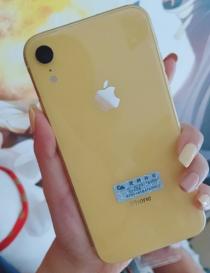 夭寿啦!宝可梦又要骗走我的钱包了