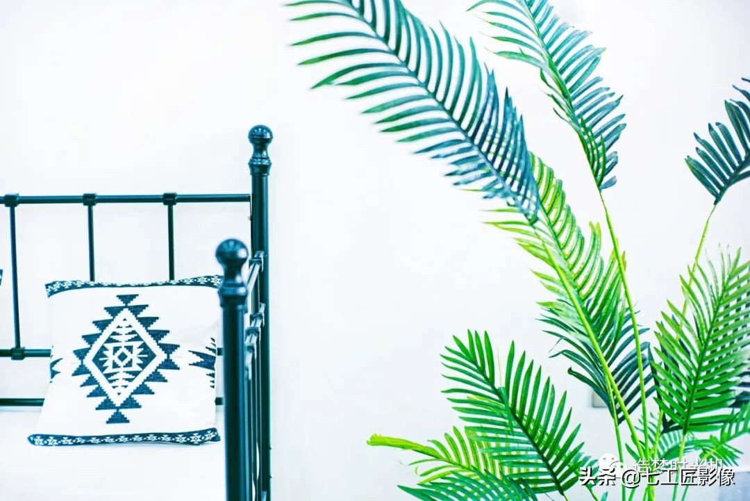 趣味体验测试,七工匠50mmf1.8夜神镜头