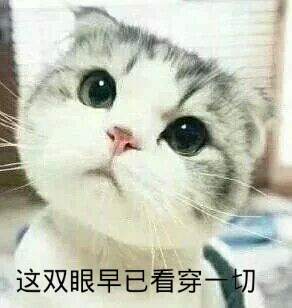 守望先锋哪个版本可以免费,守望先锋后来免费了吗