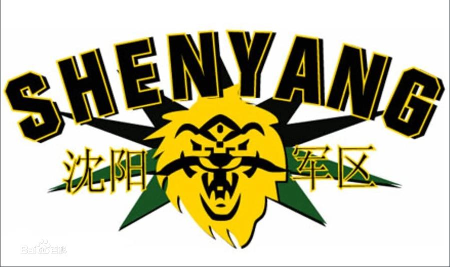 浙江广厦猛狮俱乐部官网球员名单,cba北控力克山东广厦大胜浙江