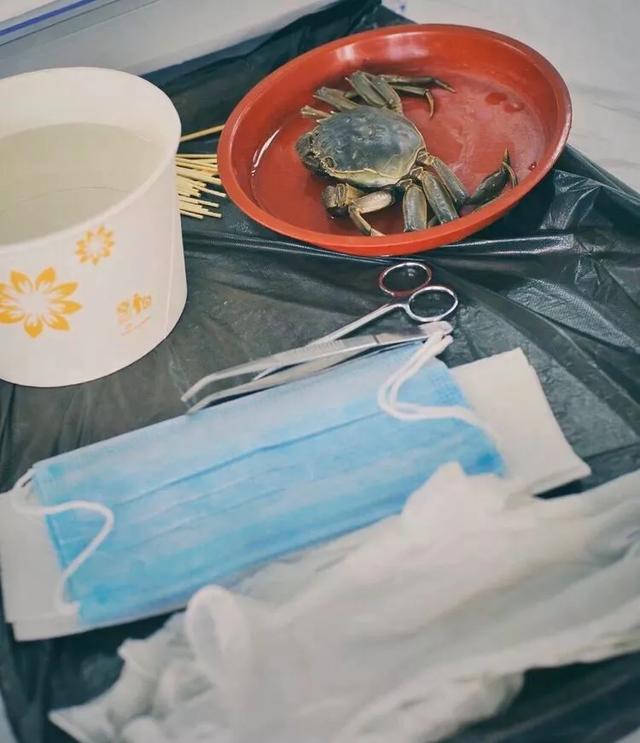 木兰笔记手写,木兰诗笔记重点