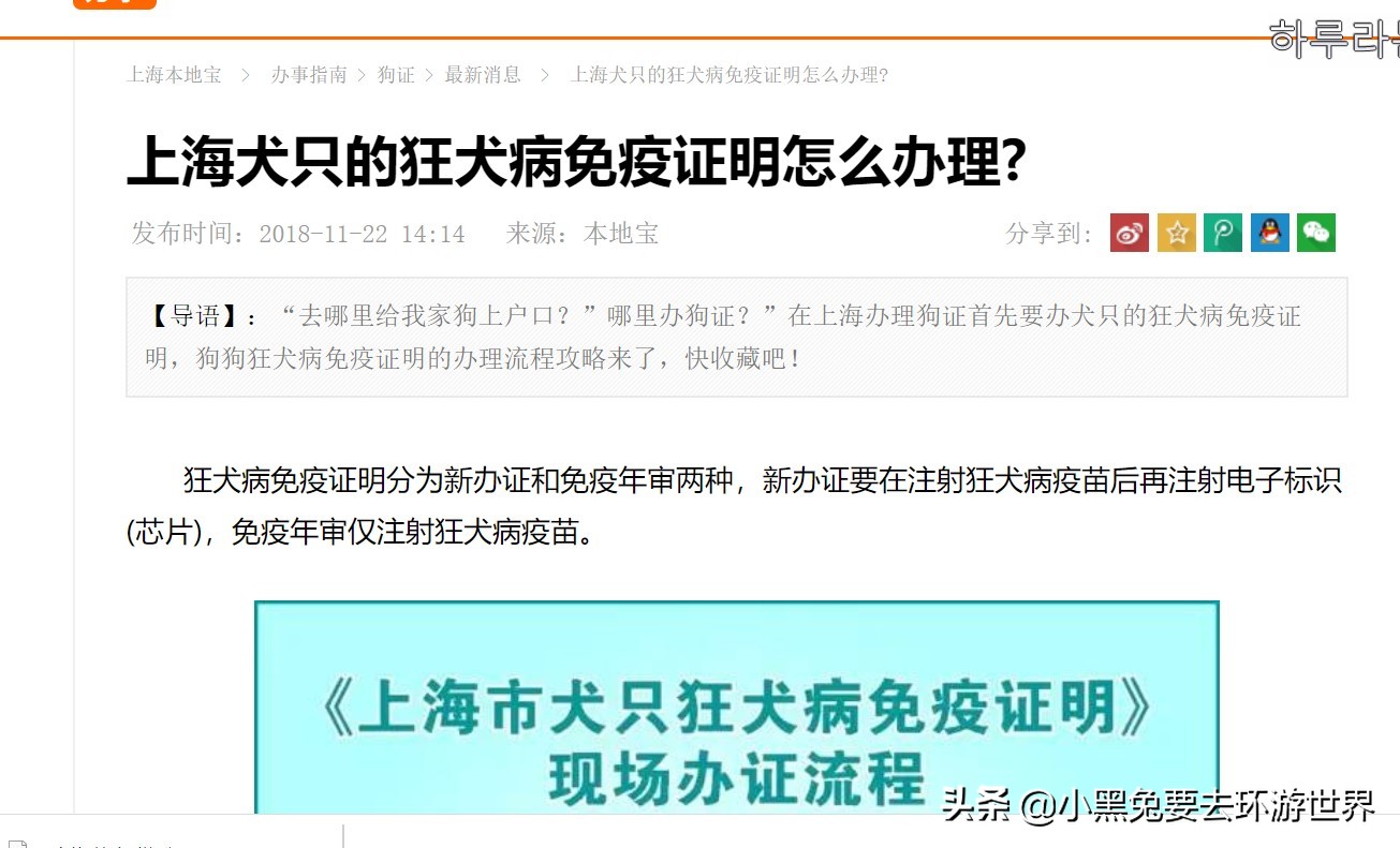 带宠物回国注意事项有哪些,从中国带宠物到国外需要什么手续