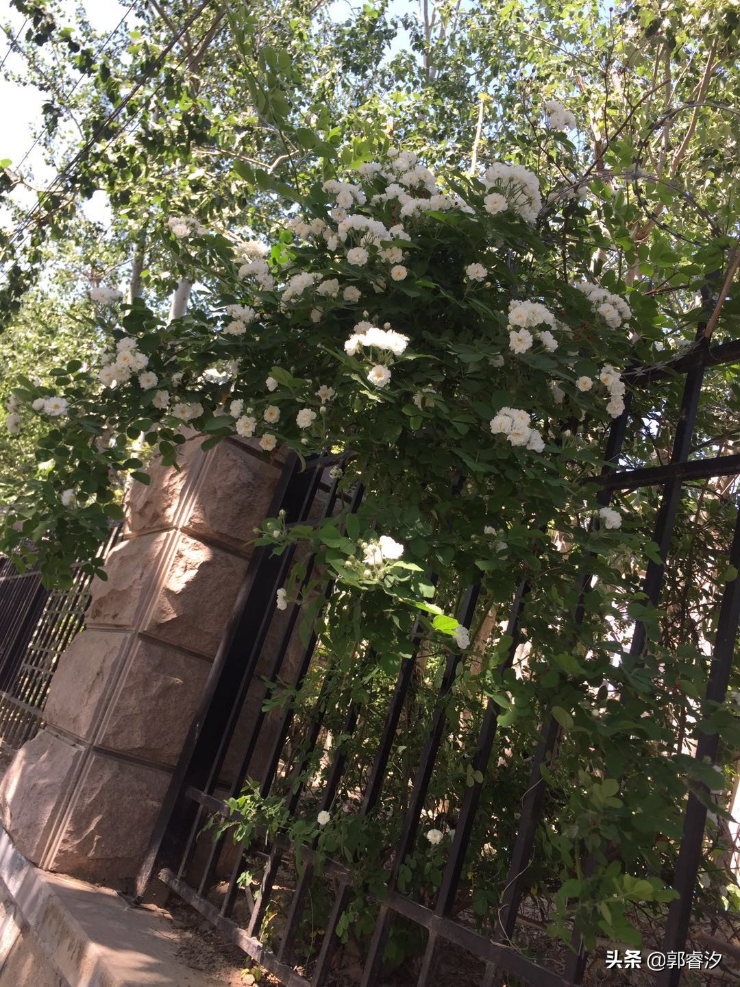 中国医疗器械行业前景分析,医疗器械行业可以怎么发展