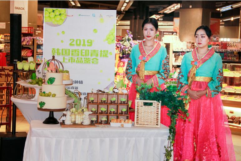 韩国香印青提介绍,寒冬凛冽韩文版