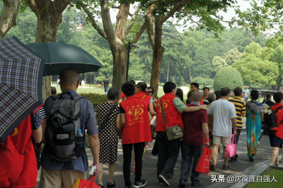 残疾人旅游最新政策,上海残疾人免费旅游吗