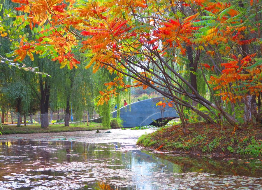 沈阳长白万象汇开业区,沈阳下一个万象汇