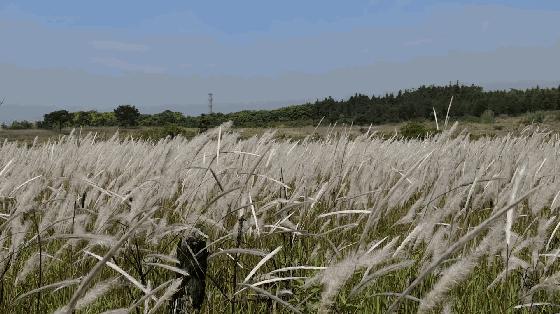 戴森空气净化风扇凉风效果测评,戴森无叶风扇跟其他无叶风扇比