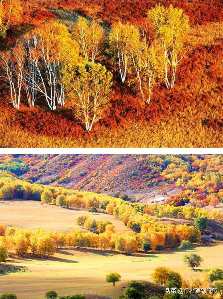 冬季克旗旅游自驾游攻略,克什克腾旗看秋色攻略