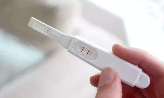 备孕期间如何抓排卵日,准确把握排卵日的怀孕几率