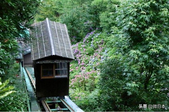 轻奢极简露天温泉,超梦幻的露天温泉