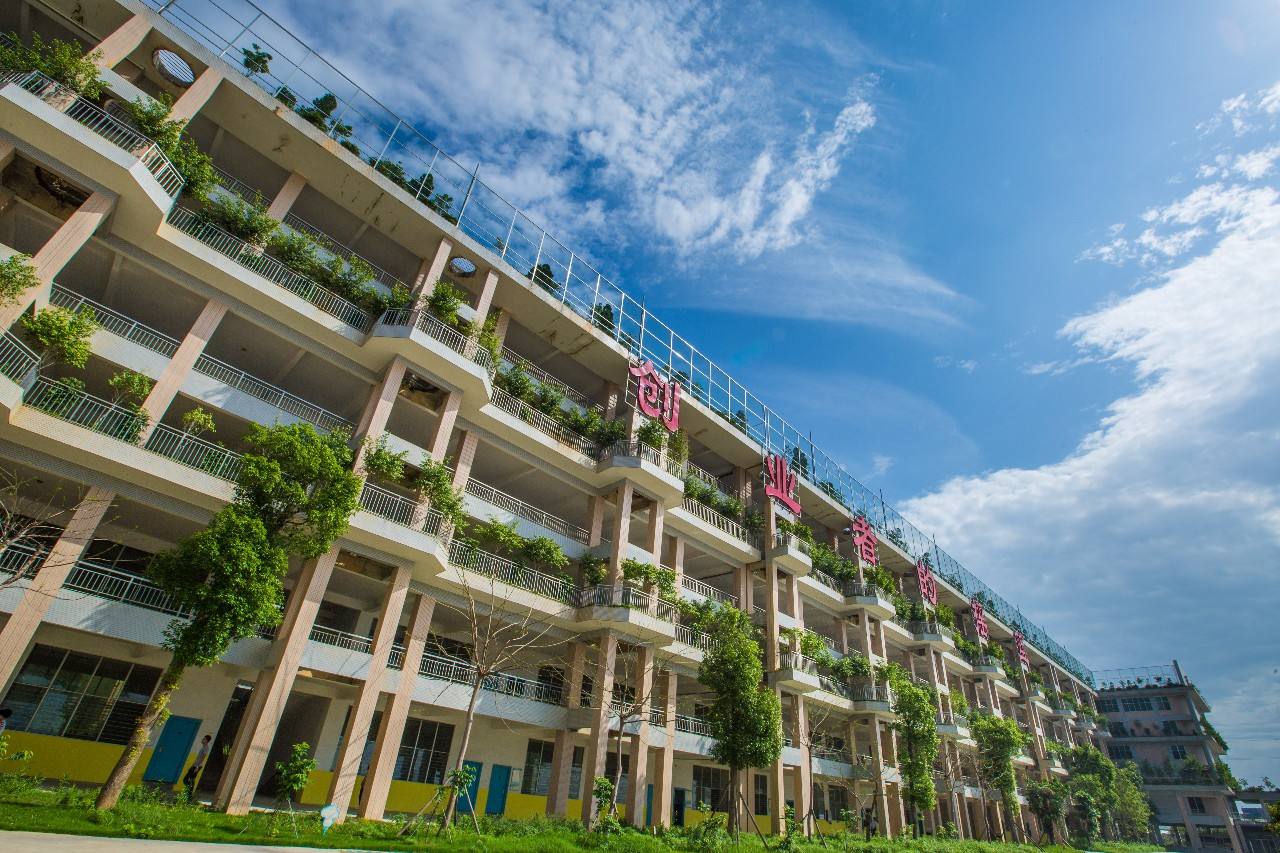 达不到本科线如何填志愿,没达到本科线报本科征集志愿