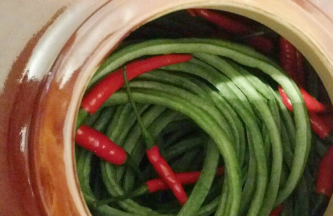 怎样在家做酸豆角才好吃,酸豆角怎么做比较好吃