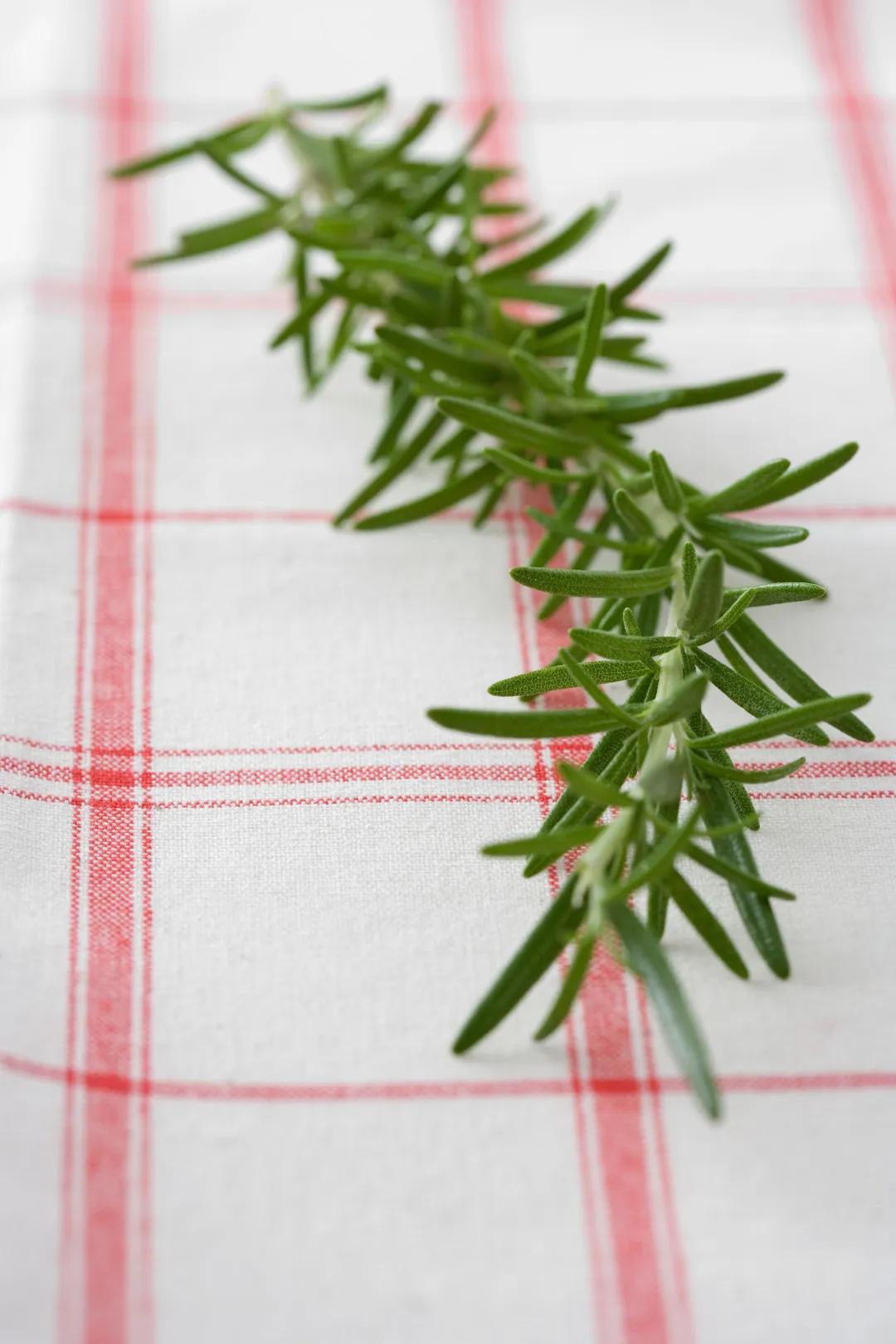 星座秘语射手座,双子座的社交秘语