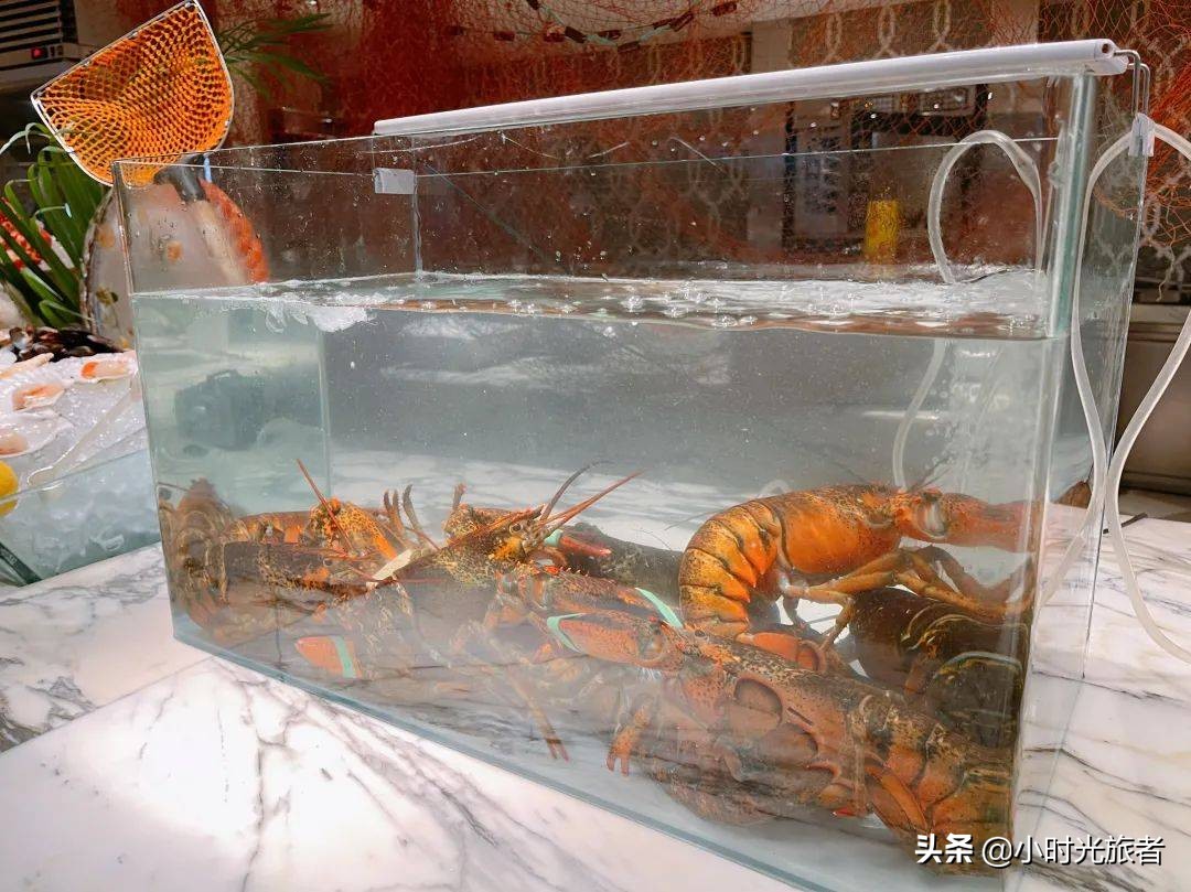 上海华尔道夫海鲜自助,上海华尔道夫酒店海鲜自助