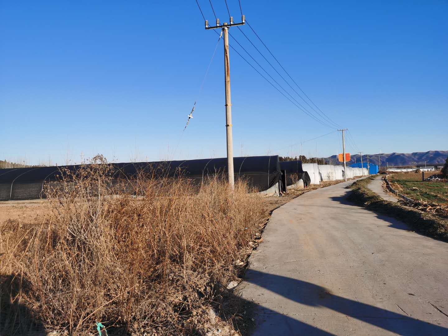 香菇种植有钱挣吗,香菇养殖挣钱吗