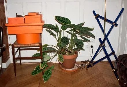 你选谁?服装大神的“窝”