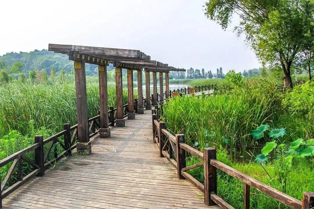 武汉最有人气的户外烧烤据点都在这了！赶紧打卡吧