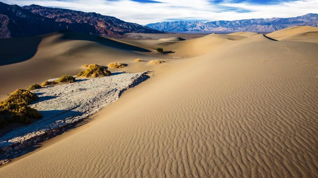 骆驼原来不是出自沙漠，你知道它是从哪里来的吗？