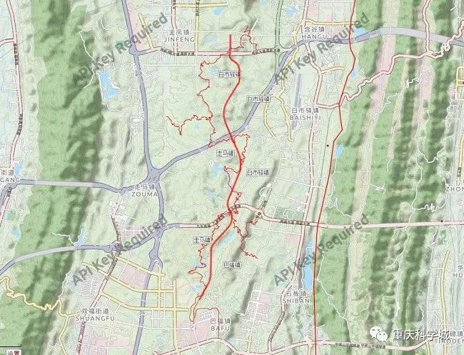新森大道新消息,新森大道南段招标