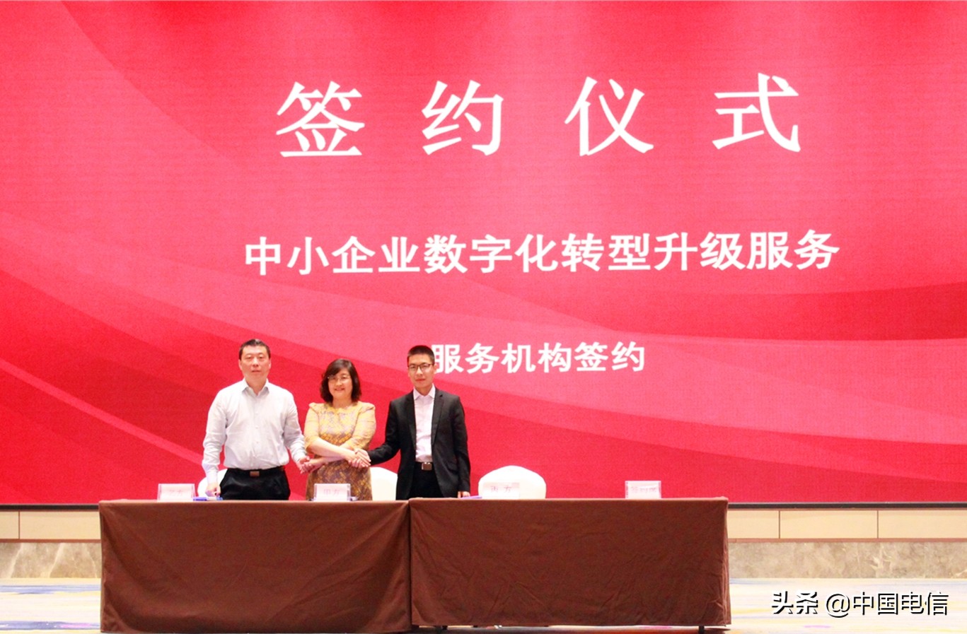 三千数字专员服务山东百万中小企业—中国电信山东公司精准帮扶中小企业展现硬核担当