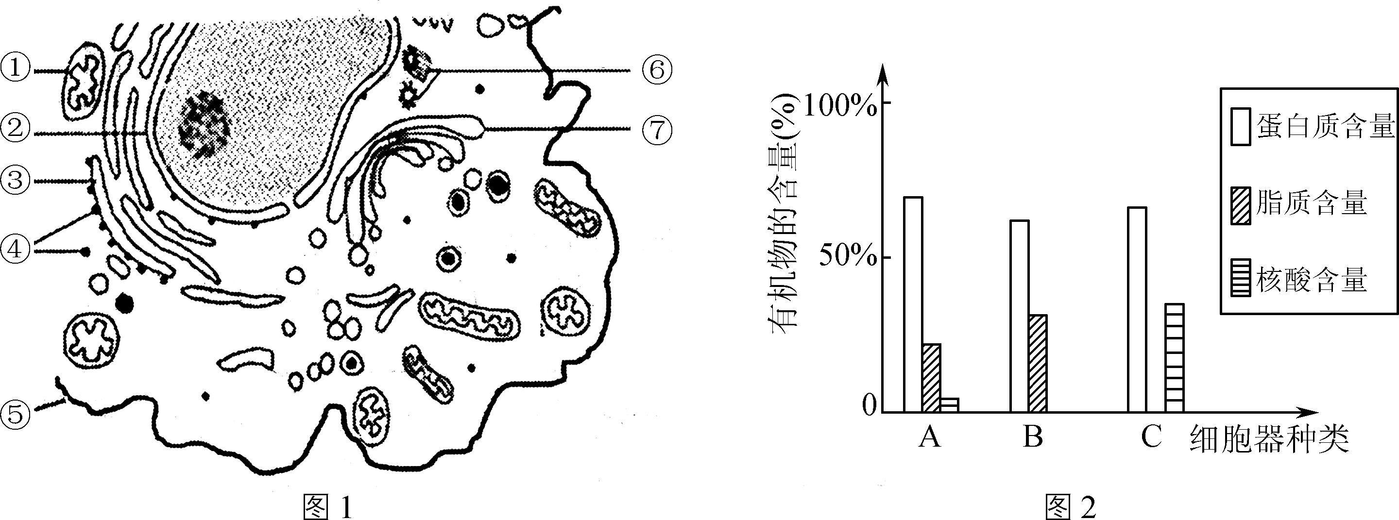 生物期中考选择题必考知识点,2017年生物期中考试题